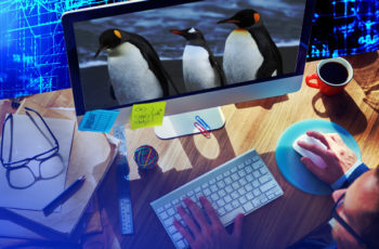 5 dos melhores editores de imagem gratuitos para Linux