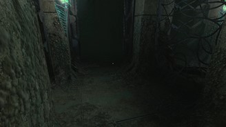 (Fonte: Voxel/Stella/Reprodução)
