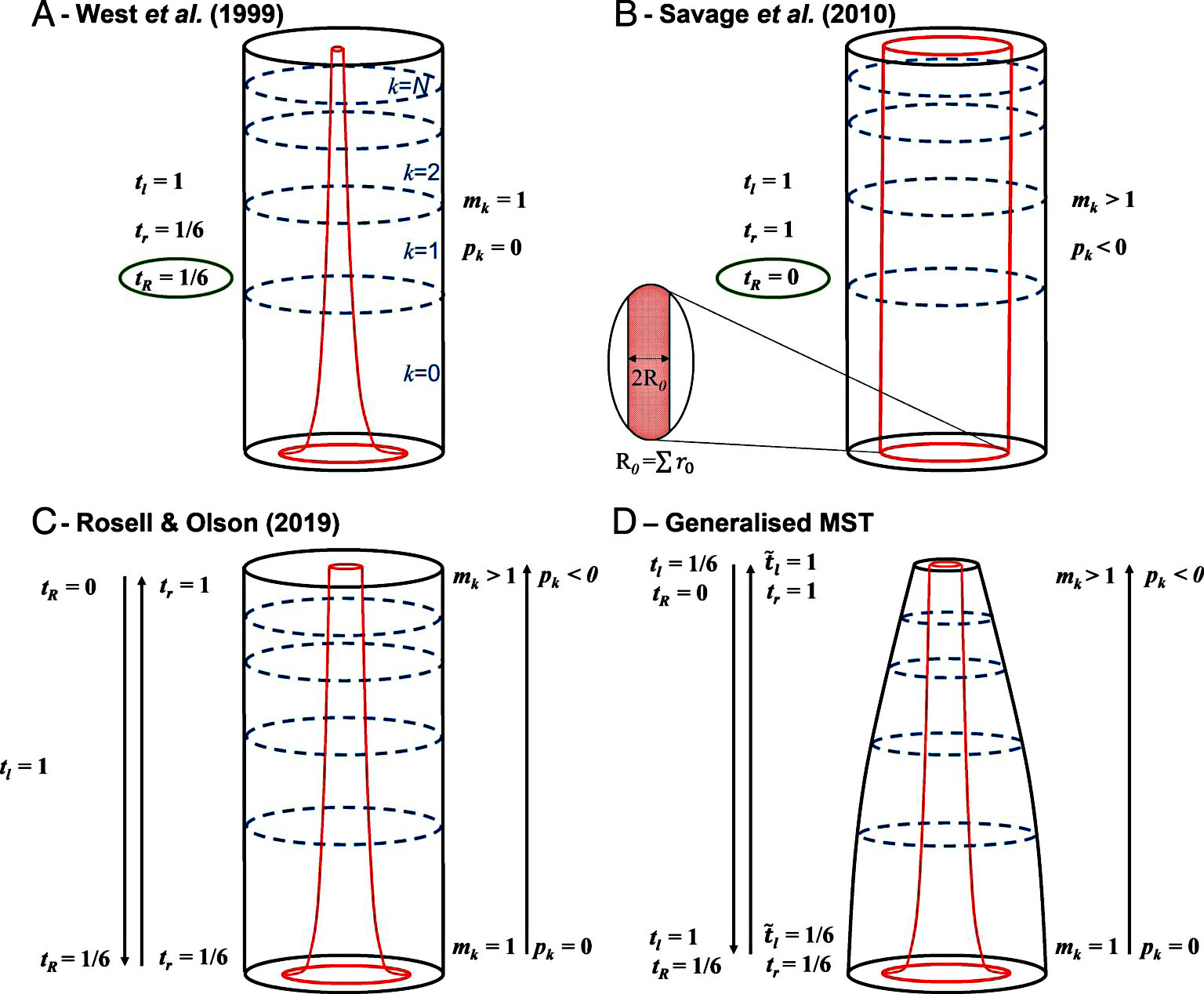 Modelos de volumes de redes ramificadas. 