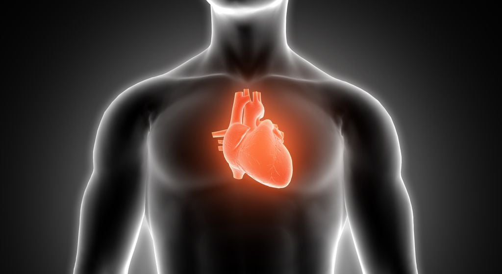 Quando descobrirmos o que faz com que alguns pacientes com corações artificiais regenerem o tecido cardíaco, poderemos curar a insuficiência cardíaca de uma vez por todas (Imagem: Kjpargeter/Freepik)