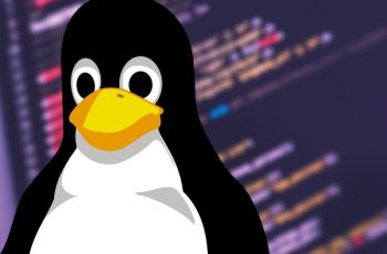 Hackers usam "avô do Discord" para criar exército zumbi em PCs Linux
